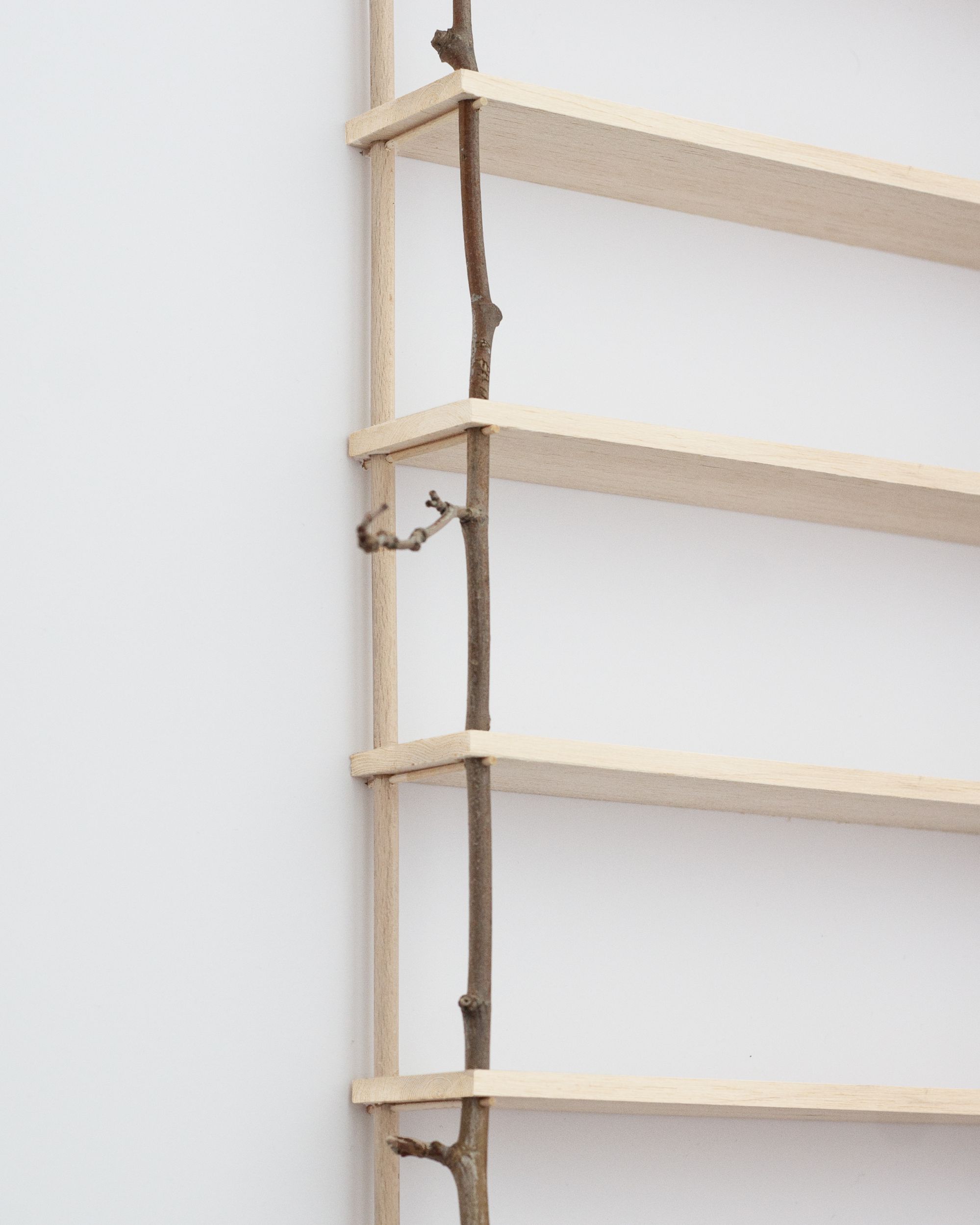 Thomas Shelf Thomas Takada